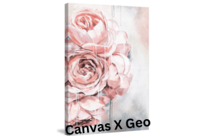 Canvas X Geo Crack