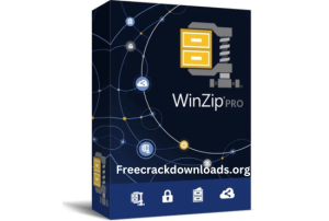 WinZip Pro Crack